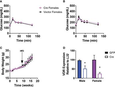 Paraventricular Vitamin D Receptors Are Required for Glucose Tolerance in Males but Not Females